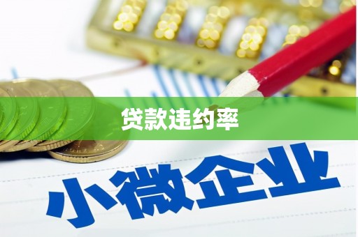 玉溪贷款违约率