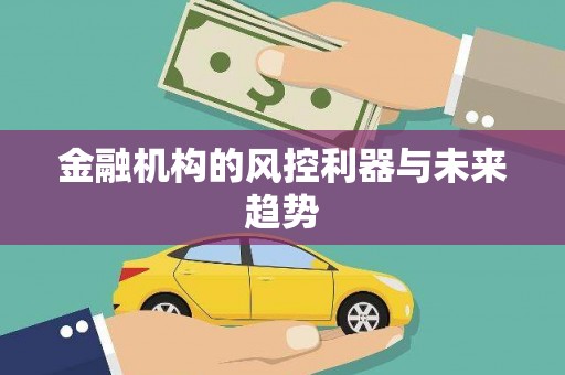 玉溪金融机构的风控利器与未来趋势
