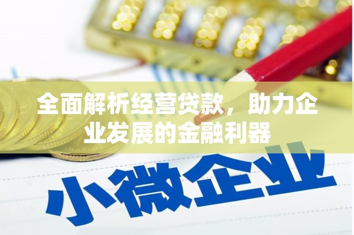 玉溪全面解析经营贷款，助力企业发展的金融利器