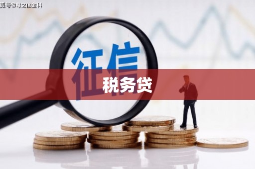 玉溪税务贷