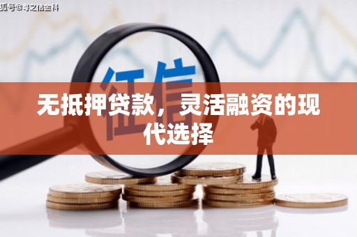 玉溪无抵押贷款，灵活融资的现代选择