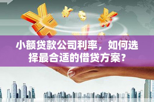 玉溪小额贷款公司利率，如何选择最合适的借贷方案？
