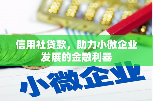 玉溪信用社贷款，助力小微企业发展的金融利器
