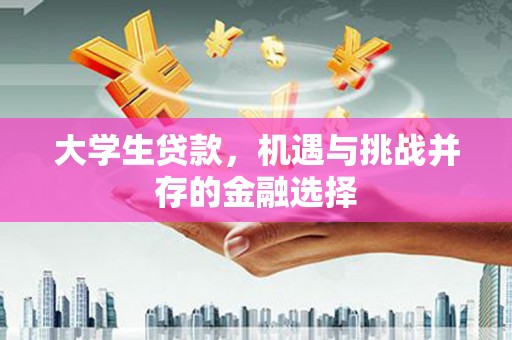 玉溪大学生贷款，机遇与挑战并存的金融选择
