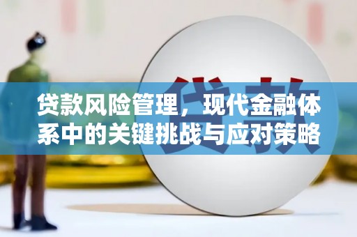 玉溪贷款风险管理，现代金融体系中的关键挑战与应对策略