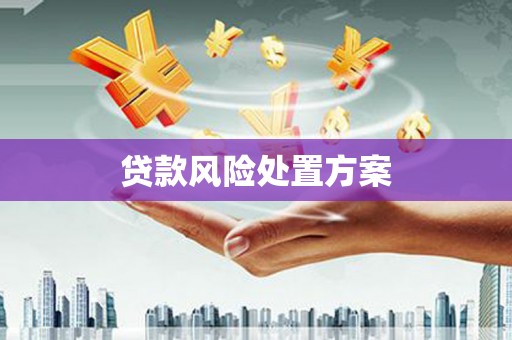 玉溪贷款风险处置方案
