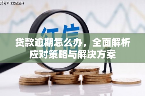 玉溪贷款逾期怎么办，全面解析应对策略与解决方案
